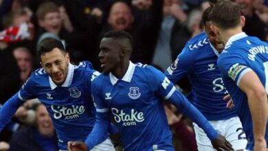 Everton 1-0 Brentford: Idrissa Gueye secures Premier League safety