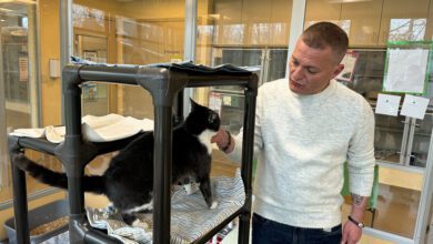 Animal cruelty officer-turned-animal chaplain Matty Giuliano loves ferrets and St. Francis