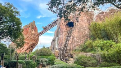 Expedition Everest in Disney's Animal Kingdom Is ELITE - Here's Why