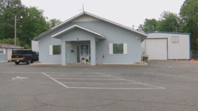 North Little Rock Animal Shelter receiving renovations, expansions following city funding | KLRT