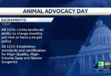 Sacramento activists observe Animal Advocacy Day at state Capitol
