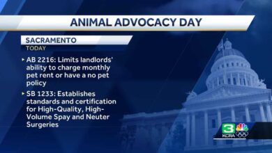 Sacramento activists observe Animal Advocacy Day at state Capitol