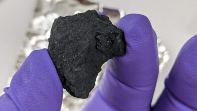 Winchcombe meteorite's history revealed by fresh analysis
